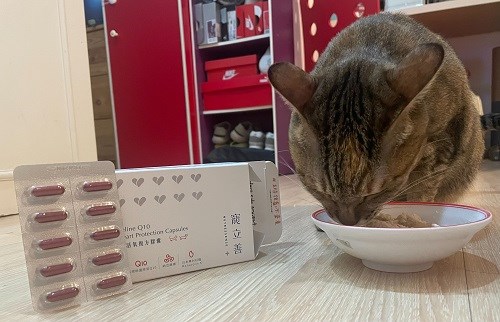 試用